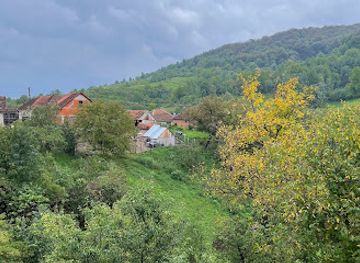 romania/bihor/landmark/muma-codrului