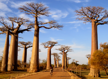 madagascar/analamanga/landmark/gmt-3-great-madagascar-tours