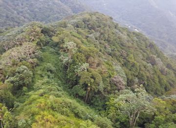puerto-rico/la-cordillera-central/landmark/parque-familiar-adrian-padua-sanchez