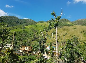 puerto-rico/guayama/landmark/bosque-estatal-de-carite