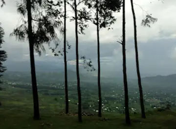 Rwanda Gorilla Safari
