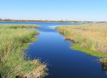 alabama/cotton-bayou/landmark/hugh-s-branyon-backcountry-trail-cotton-bayou-trailhead