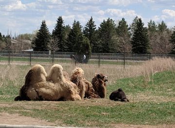 north-dakota/badlands/landmark/dakota-zoo