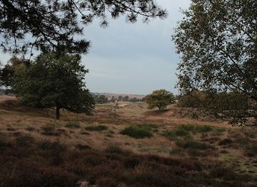 netherlands/hoge-veluwe-national-park/landmark/worth-rheder-zand-nationaal-park-veluwezoom