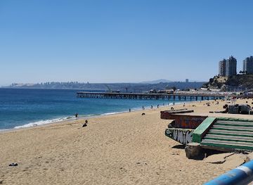chile/vina-del-mar/valparaiso/landmark/playa-caleta-portales