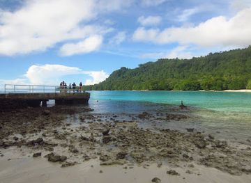 vanuatu/luganville/landmark/champagne-beach