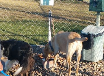 north-dakota/devils-lake/landmark/ruger-dog-park