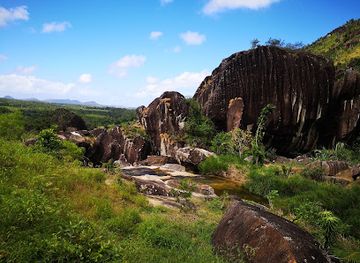 madagascar/fort-dauphin/landmark/nahampoana-reserve