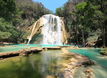 mexico/chiapas/landmark/las-3-tzimoleras