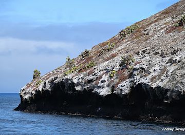 ecuador/galapagos-islands/landmark/daphne-major