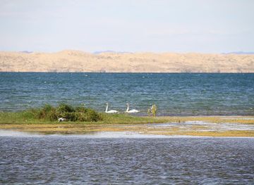 mongolia/buir-lake/landmark/bayan-lake