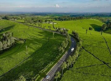 uganda/kampala/landmark/uganda-family-tours-travel-kampala-hq