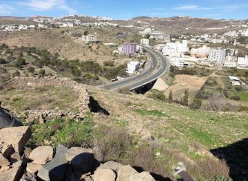 saudi-arabia/al-baha/landmark/almalad-castle