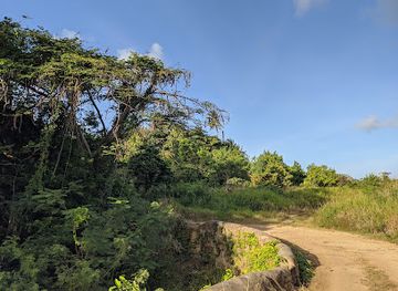 barbados/paynes-bay/landmark/blackmans-bridge