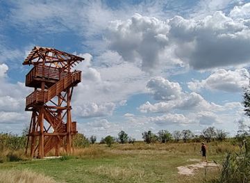hungary/szeged/landmark/lake-feher