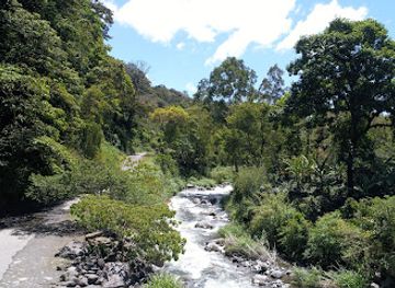 panama/boquete/landmark/san-ramon-waterfall