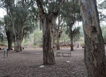 morocco/fes-region/landmark/foret-d-ain-chkef