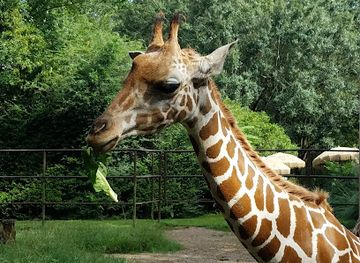 louisiana/acadiana/landmark/zoosiana