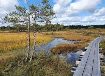 estonia/soomaa-national-park/landmark/riisa-opperada