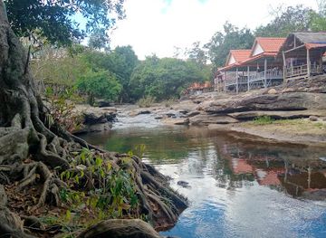 laos/vang-vieng-karst-landscape/landmark/phou-phanang-national-bio-diversity-conservation-area