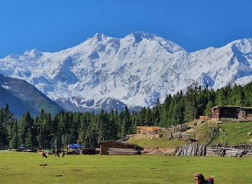 pakistan/gilgit/landmark/raikot-bridge