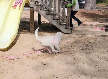 mississippi/mccomb/landmark/edgewood-park