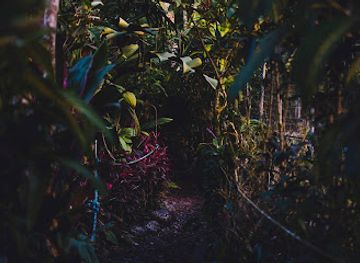 ecuador/pastaza-region/landmark/paseo-de-los-monos