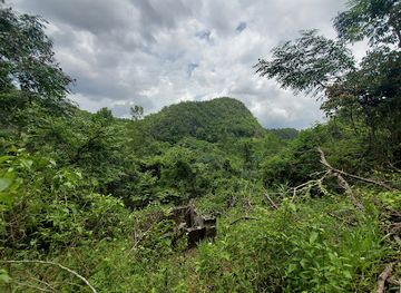 jamaica/cockpit-country/landmark/cockpit-country-adventure-tours