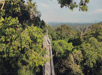 Ulu Temburong Canopy Walk