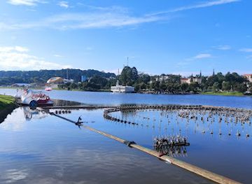 vietnam/dalat/xuan-huong-lake/landmark/duck-ducking-beach-xuan-huong-lake