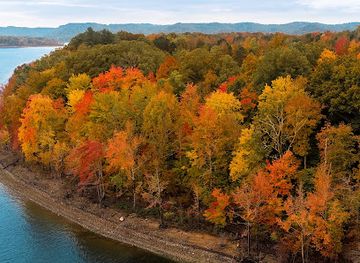 kentucky/knobs-region/landmark/cave-run-lake-tailwater