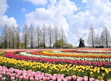 japan/kanto/landmark/akebonoyama-agriculture-park