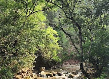 honduras/tela/landmark/macaw-mountain-bird-park