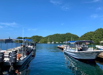 palau/koror-town/landmark/sam-s-tours-palau