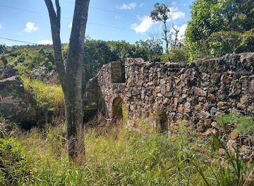 british-virgin-islands/sage-mountain-national-park/landmark/catherineberg-estate-ruins