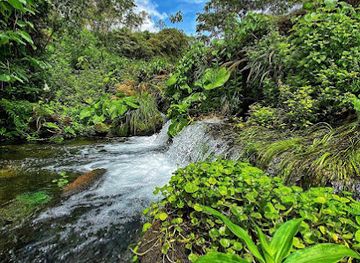costa-rica/north-zone/landmark/parque-nacional-volcan-tenorio
