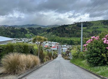 new-zealand/otago/landmark/baldwin-street-the-steepest-street-in-the-world