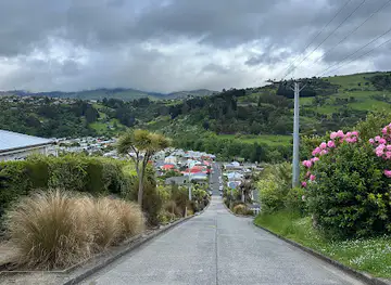 Baldwin Street - The Steepest Street in the World
