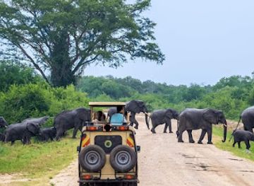 uganda/kampala/muyenga/landmark/here-in-uganda