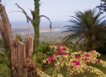 panama/chiriqui-highlands/landmark/miguel-de-cervantes-saavedra-park