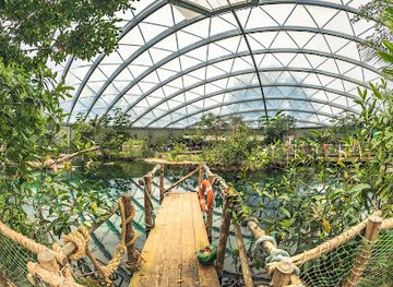 netherlands/arnhem/landmark/burgers-mangrove