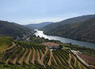 Best of Douro