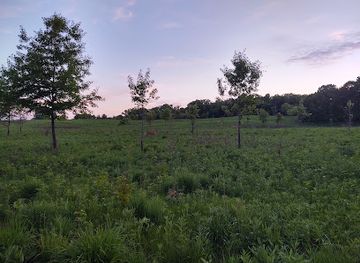 wisconsin/ice-age-trail/landmark/ice-age-trail-junction-area