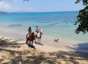 costa-rica/puerto-viejo/landmark/ride-the-rainforest-costa-rica