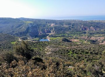 cyprus/paphos-forest/landmark/oreites-forest