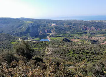 Oreites Forest