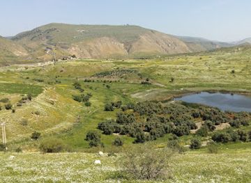 jordan/northern-jordan-valley/landmark/yarmouk-nature-reserve