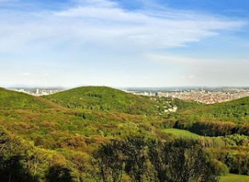 austria/thermenregion/landmark/wienerwald-biosphere-reserve