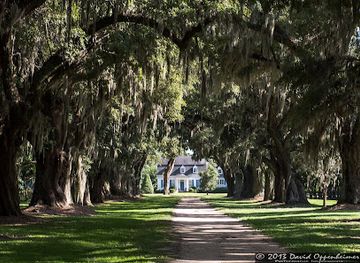 south-carolina/upstate/landmark/oakland-plantation