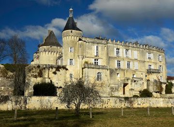 france/aquitaine/landmark/castle-of-jonzac